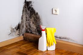 Best Mold Prevention Services  in Channahon, IL